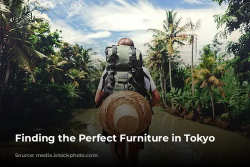 Finding the Perfect Furniture in Tokyo