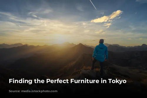 Finding the Perfect Furniture in Tokyo