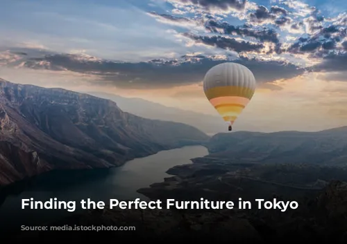 Finding the Perfect Furniture in Tokyo