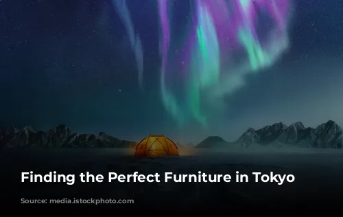 Finding the Perfect Furniture in Tokyo