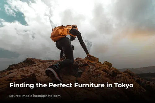 Finding the Perfect Furniture in Tokyo