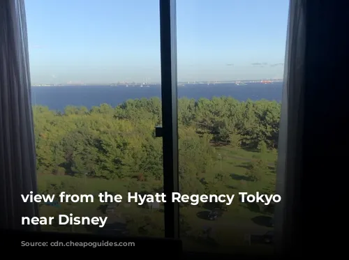 view from the Hyatt Regency Tokyo Bay, near Disney