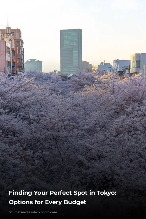 Finding Your Perfect Spot in Tokyo: Accommodation Options for Every Budget