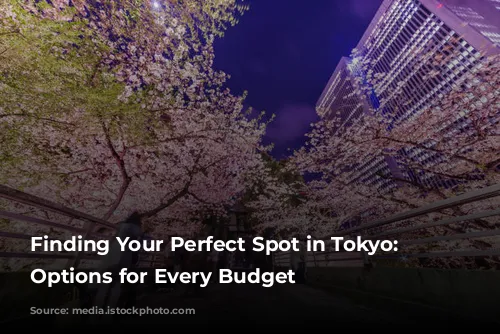 Finding Your Perfect Spot in Tokyo: Accommodation Options for Every Budget