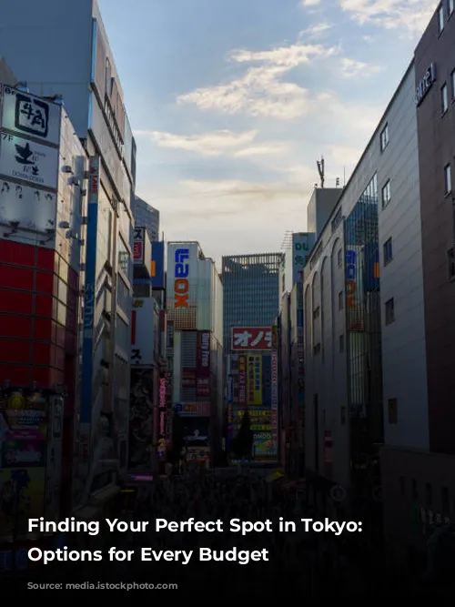 Finding Your Perfect Spot in Tokyo: Accommodation Options for Every Budget