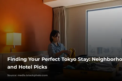 Finding Your Perfect Tokyo Stay: Neighborhoods, Safety, and Hotel Picks