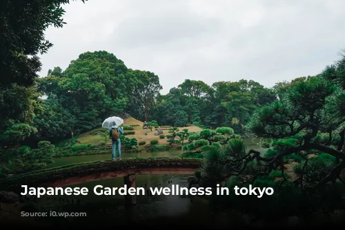 Japanese Garden wellness in tokyo