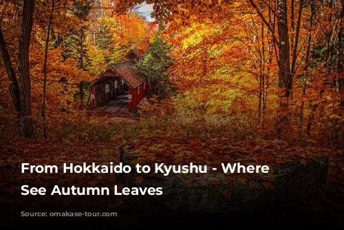 From Hokkaido to Kyushu - Where to See Autumn Leaves