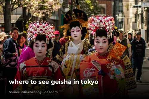 where to see geisha in tokyo