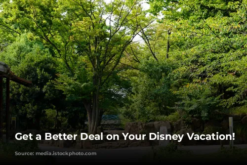 Get a Better Deal on Your Disney Vacation!