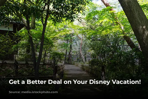 Get a Better Deal on Your Disney Vacation!