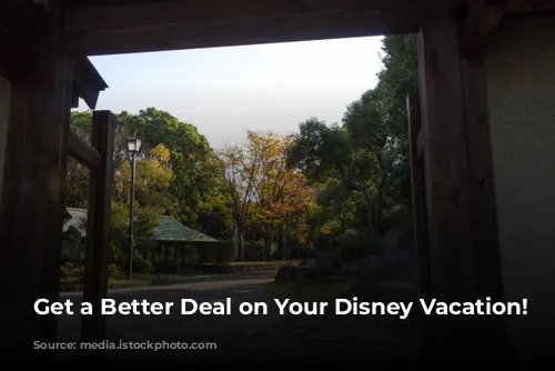 Get a Better Deal on Your Disney Vacation!