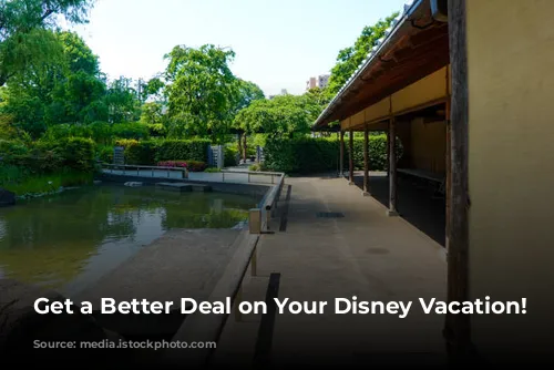 Get a Better Deal on Your Disney Vacation!