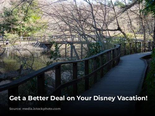 Get a Better Deal on Your Disney Vacation!