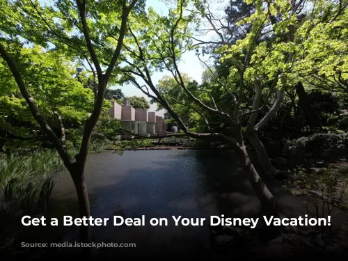 Get a Better Deal on Your Disney Vacation!