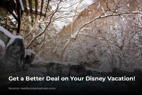 Get a Better Deal on Your Disney Vacation!