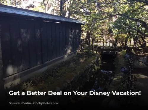 Get a Better Deal on Your Disney Vacation!