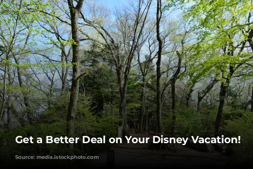 Get a Better Deal on Your Disney Vacation!