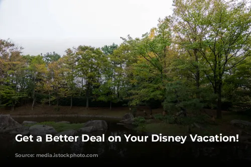 Get a Better Deal on Your Disney Vacation!