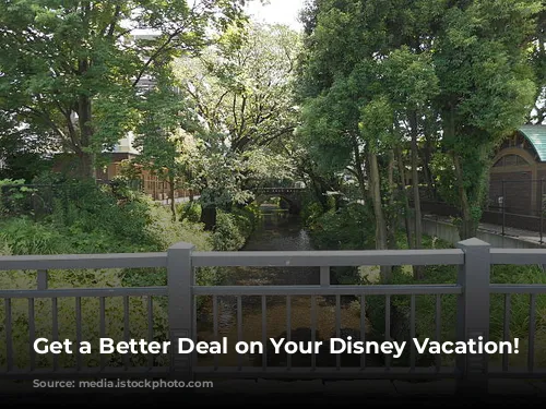 Get a Better Deal on Your Disney Vacation!