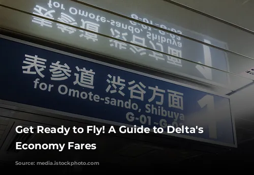 Get Ready to Fly! A Guide to Delta's Basic Economy Fares