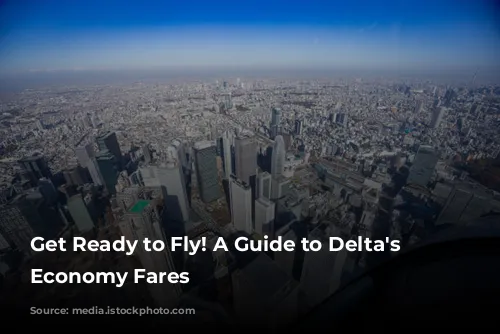 Get Ready to Fly! A Guide to Delta's Basic Economy Fares