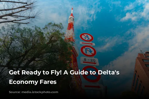 Get Ready to Fly! A Guide to Delta's Basic Economy Fares