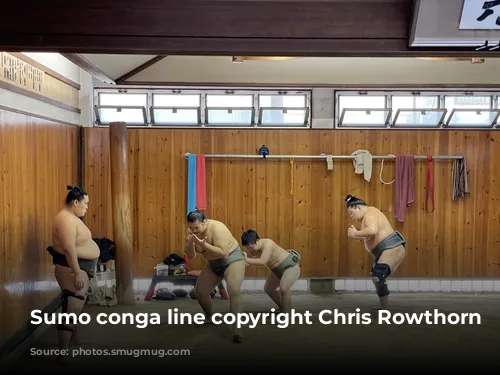 Sumo conga line copyright Chris Rowthorn