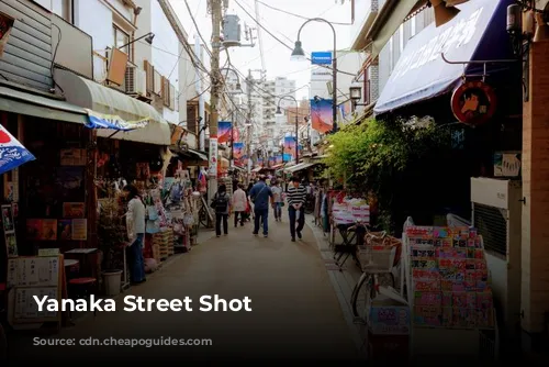 Yanaka Street Shot