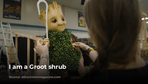 I am a Groot shrub