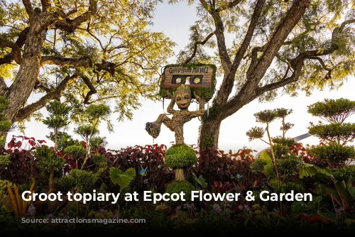 Groot topiary at Epcot Flower & Garden Festival