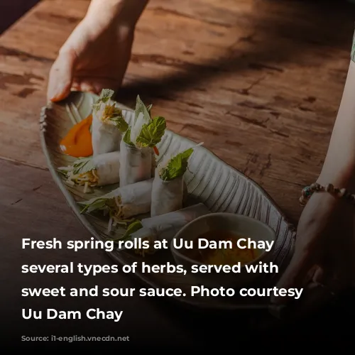 Fresh spring rolls at Uu Dam Chay feature several types of herbs, served with a sweet and sour sauce. Photo courtesy of Uu Dam Chay