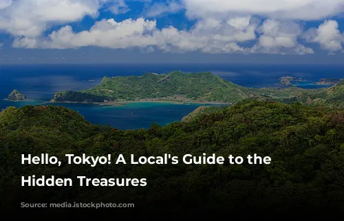 Hello, Tokyo! A Local's Guide to the City's Hidden Treasures