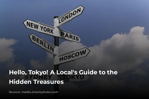 Hello, Tokyo! A Local's Guide to the City's Hidden Treasures