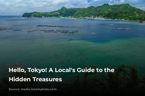 Hello, Tokyo! A Local's Guide to the City's Hidden Treasures