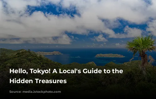 Hello, Tokyo! A Local's Guide to the City's Hidden Treasures