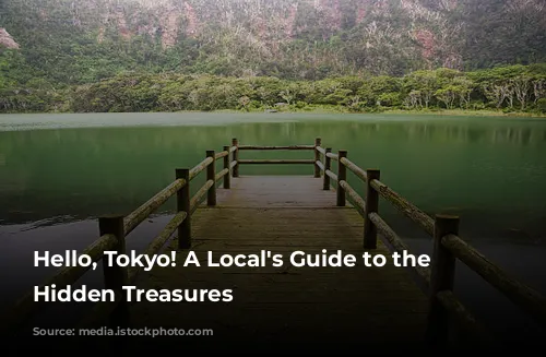 Hello, Tokyo! A Local's Guide to the City's Hidden Treasures