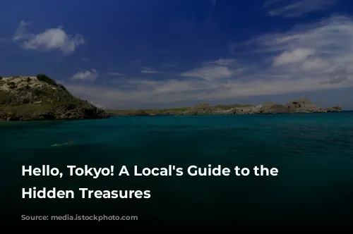 Hello, Tokyo! A Local's Guide to the City's Hidden Treasures