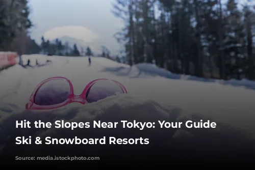 Hit the Slopes Near Tokyo: Your Guide to Ski & Snowboard Resorts