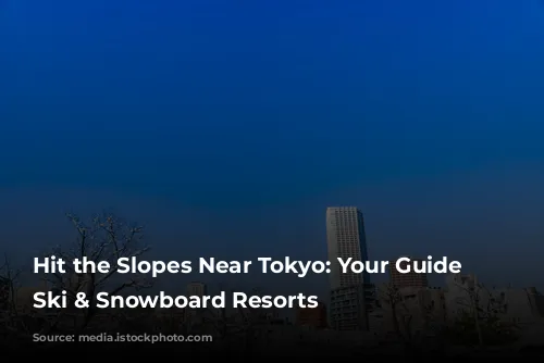 Hit the Slopes Near Tokyo: Your Guide to Ski & Snowboard Resorts