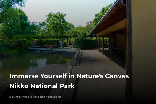 Immerse Yourself in Nature's Canvas at Nikko National Park