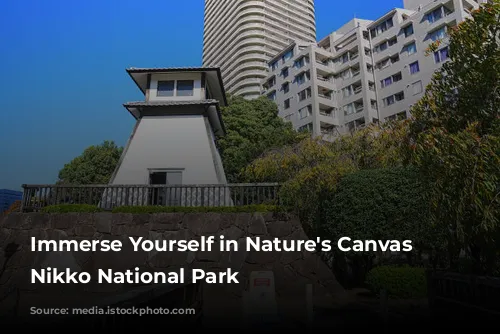 Immerse Yourself in Nature's Canvas at Nikko National Park