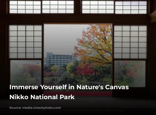 Immerse Yourself in Nature's Canvas at Nikko National Park