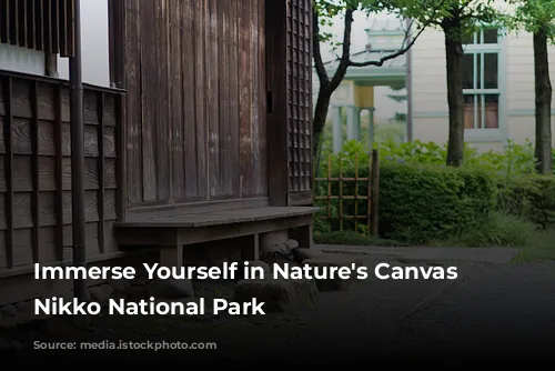 Immerse Yourself in Nature's Canvas at Nikko National Park