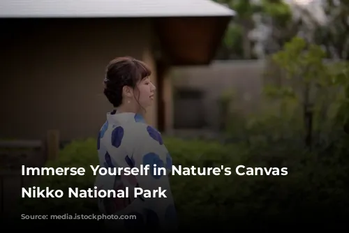 Immerse Yourself in Nature's Canvas at Nikko National Park