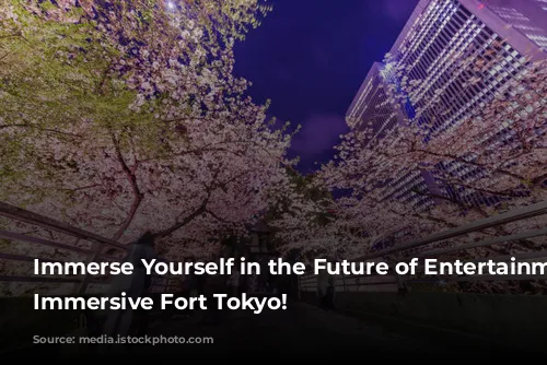 Immerse Yourself in the Future of Entertainment at Immersive Fort Tokyo!