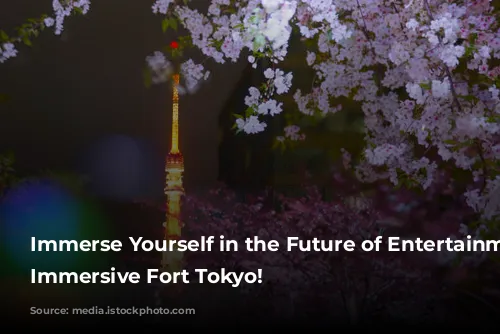 Immerse Yourself in the Future of Entertainment at Immersive Fort Tokyo!