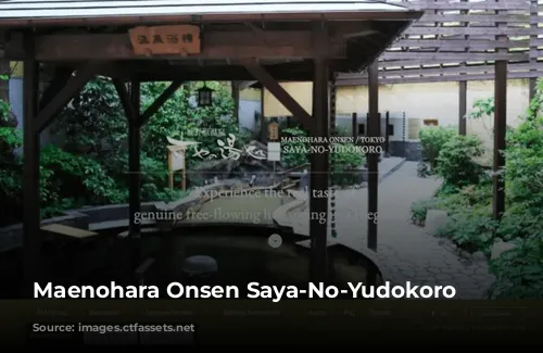 Maenohara Onsen Saya-No-Yudokoro