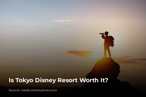 Is Tokyo Disney Resort Worth It?