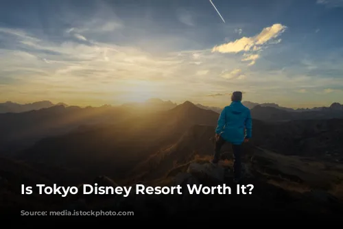 Is Tokyo Disney Resort Worth It?